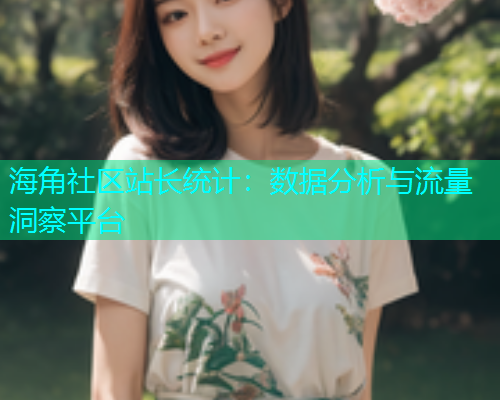 海角社区站长统计：数据分析与流量洞察平台
