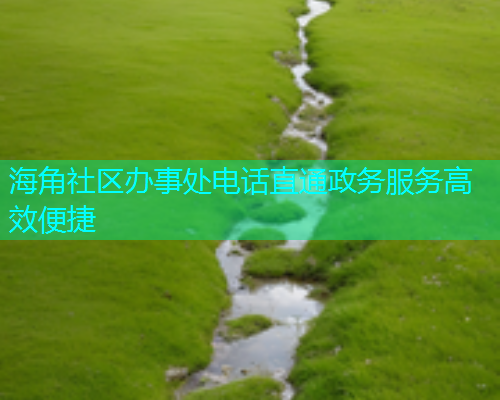 海角社区办事处电话直通政务服务高效便捷
