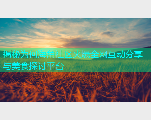 揭秘为何海角社区火爆全网互动分享与美食探讨平台  第1张