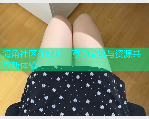 海角社区在线进：互动交流与资源共享新体验