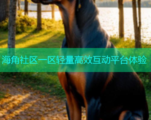海角社区一区轻量高效互动平台体验  第1张